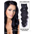 Body Wave100% Remy Human Hair Clip in Indian Hair Extension